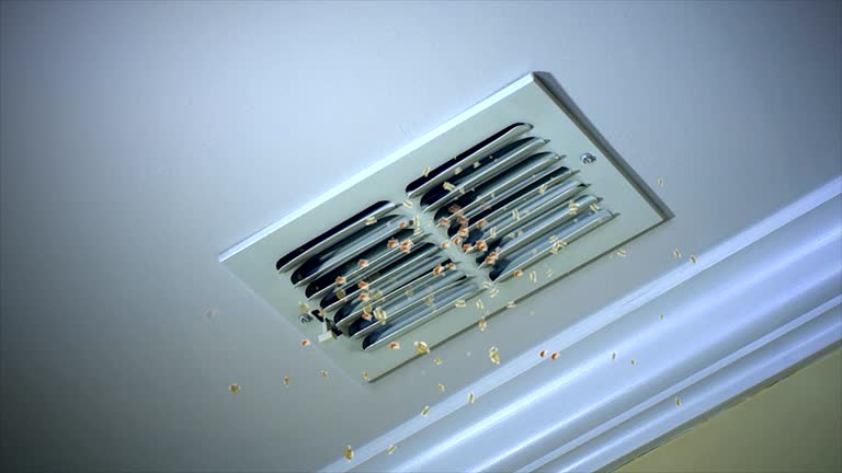 Best Best Air Duct Cleaning Company  in Newtown Grant, PA